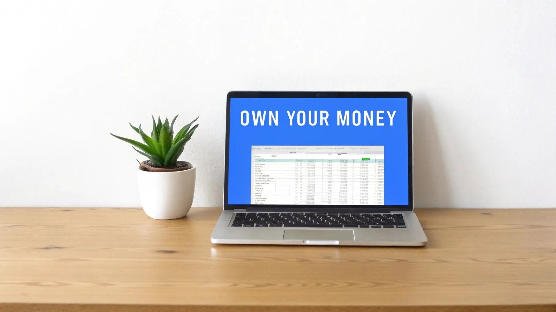 A financial dashboard showing graphs and charts on a computer screen, representing a net worth spreadsheet.
