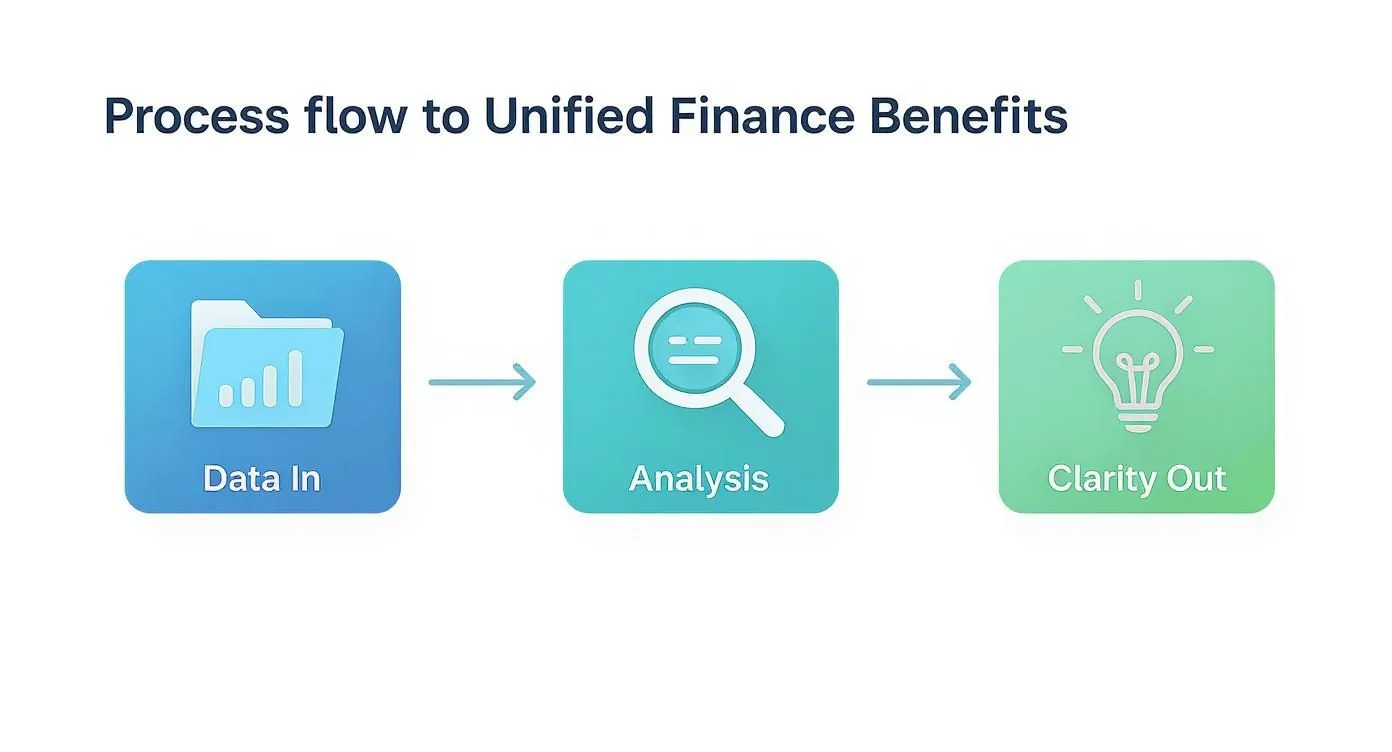 Infographic about centralized financial management