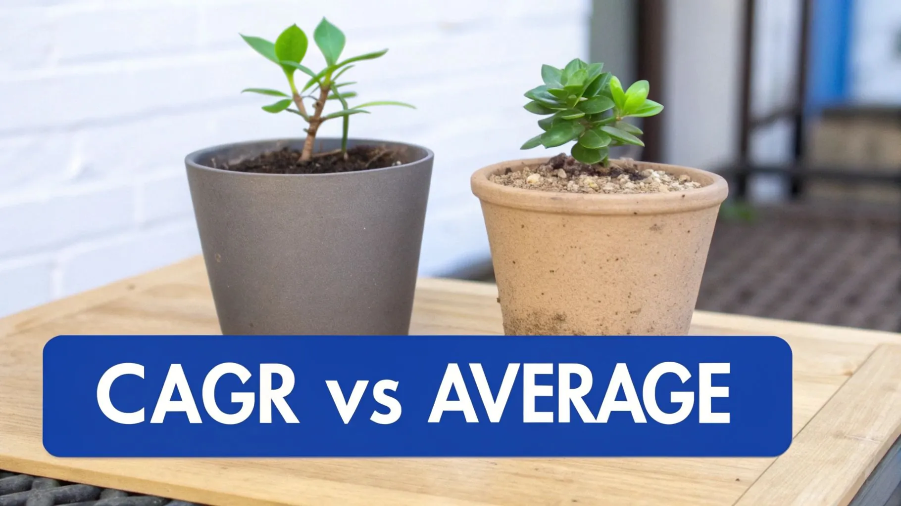 Two potted plants, one in a grey pot and one in a terracotta pot, with 'CAGR vs AVERAGE' text.