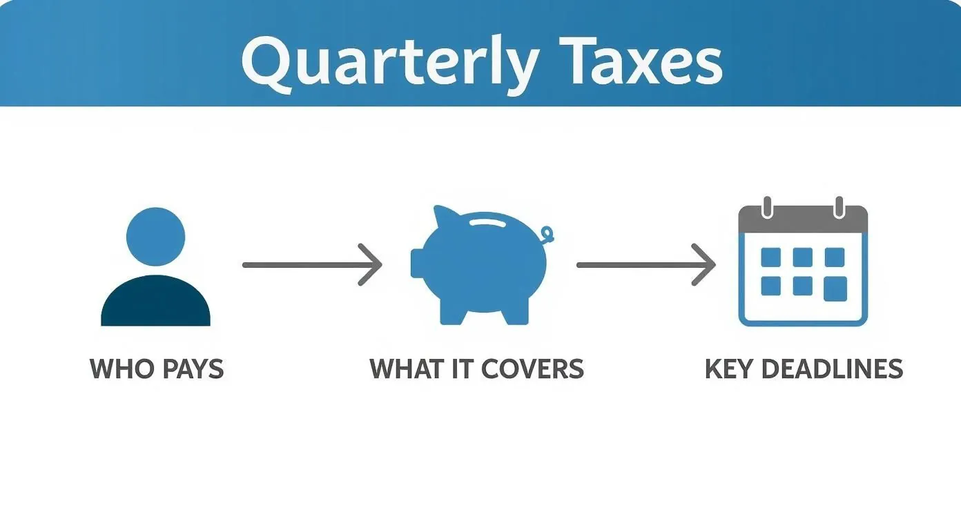 Infographic about self employed quarterly taxes