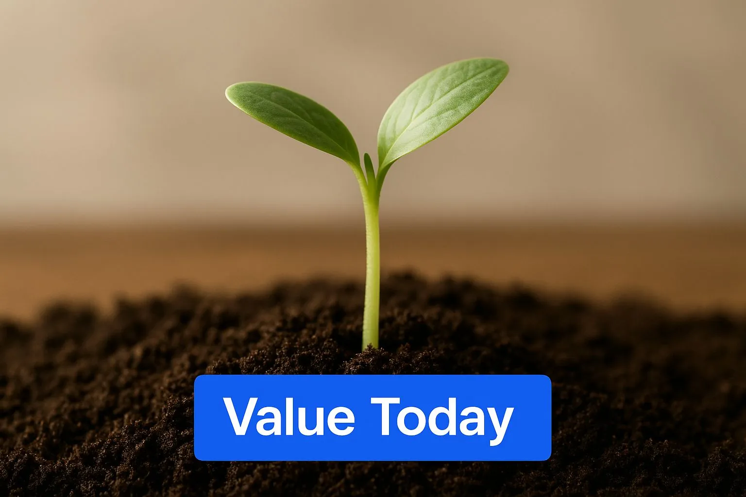 Infographic about future value of money